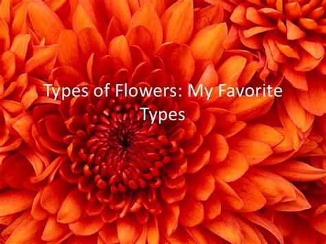 <ul><li>a flower , also known as a bloom or blossom , is the reproductive structure found in flowering plants (plants of the 7. Types of flowers