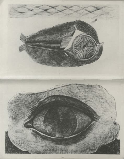 Les Mamelles De Tiresias Max Ernst Histoire Naturelle 1926