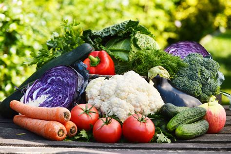 If you garden in southern california, april is the time to get busy and plant these flowers and vegetables. Blog | 10 Vegetables To Plant In Southern California In ...