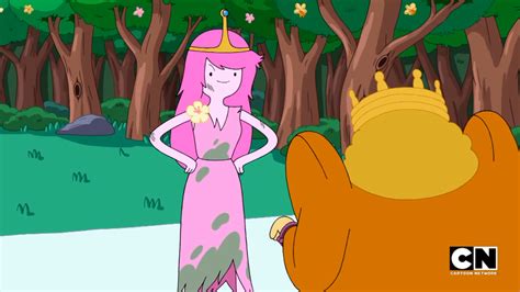 Princess Bubblegums Relationships The Adventure Time Wiki Mathematical