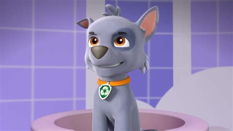 Rockygallerypup Tacular Paw Patrol Wiki Fandom Powered By Wikia