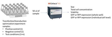 Using Cellaca Mx For High Throughput Cho Cell Counting For