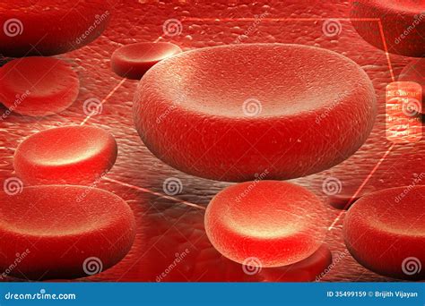 Red Blood Cell Flowing In Artery Stock Illustration Illustration Of