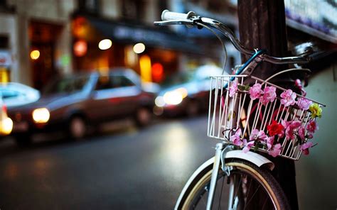 Bicycle With Flower Wallpapers Photo 2014 2015 ~ Charming
