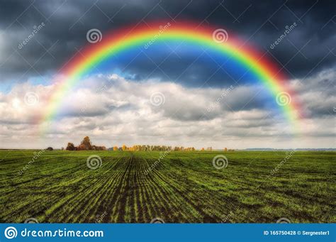 Rainbow Over The Field Stock Photo Image Of Agriculture 165750428