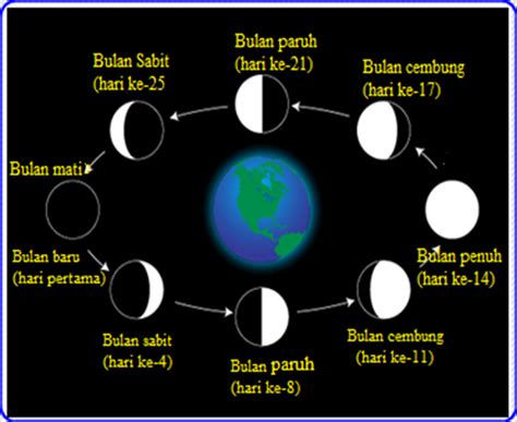 Fase Bulan Dan Gambarnya Pengertian Bulan Purnama Adalah Ciri Ciri
