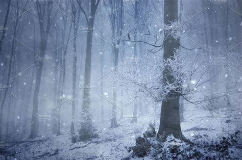 Forest In Winter With Snow Falling By Atmospheric Visuals In 2020
