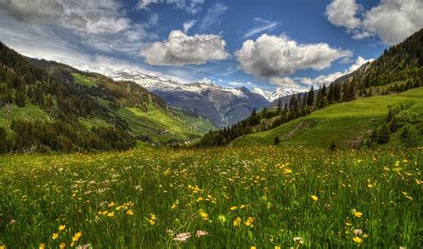 Hd Wallpaper Flowers Mountains Spring Switzerland Valley Alps