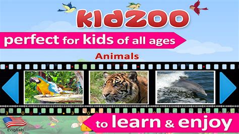 Kids Zoo Animal Sounds And Pictures For Kids With Real Voice And