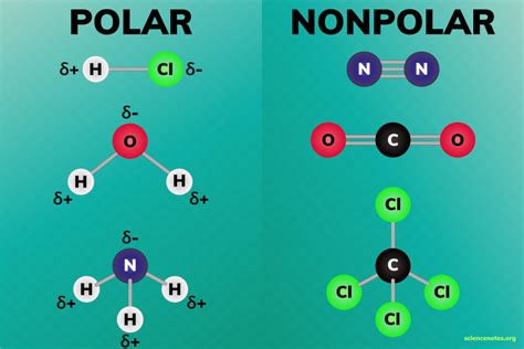 Moléculas Polares Y No Polares Free Press