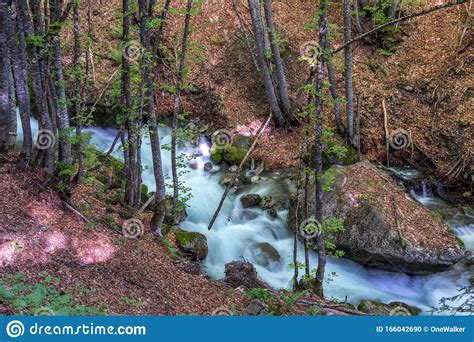 Landscape View Of A River In The Forest Trees Around Stock Photo