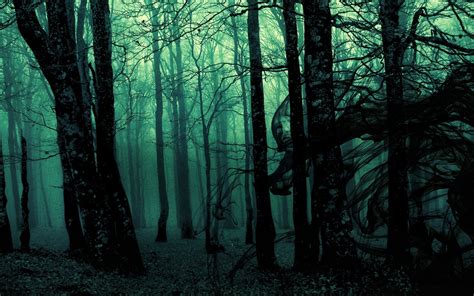 Dark Forest Hd Wallpaper