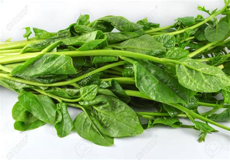 HOME DELIVERY of Malabar Spinach/ Poi Saga- 500 Gram ORDER NOW