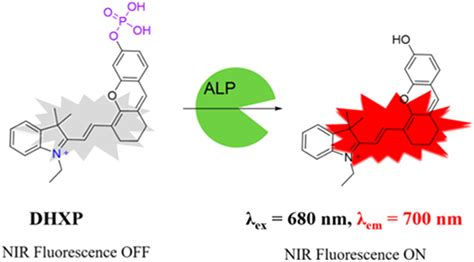 Schematic Diagram Of The Fluorometric Assay For Alp Based On A Download Scientific Diagram