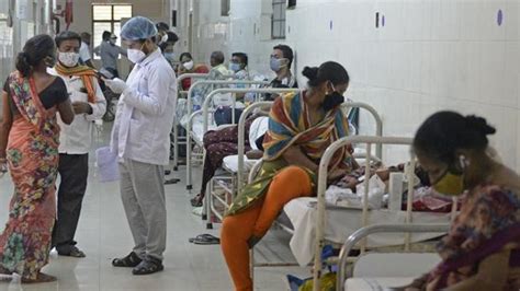 May 31, 2021 · los casos de hongo negro en la india aumentan a casi 9.000 mientras el gobierno intenta cubrir la falta de medicamentos. Hongo negro: qué es, qué lo causa y cuáles son los ...