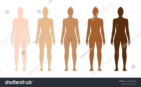 Naked Female Body Different Skin Tones Stock Vector Royalty Free