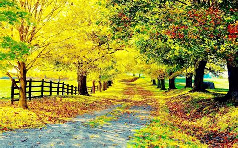 Free Download Autumn Scenery Desktop Wallpapers Beautiful Autumn Scenery Desktop 1600x1200 For