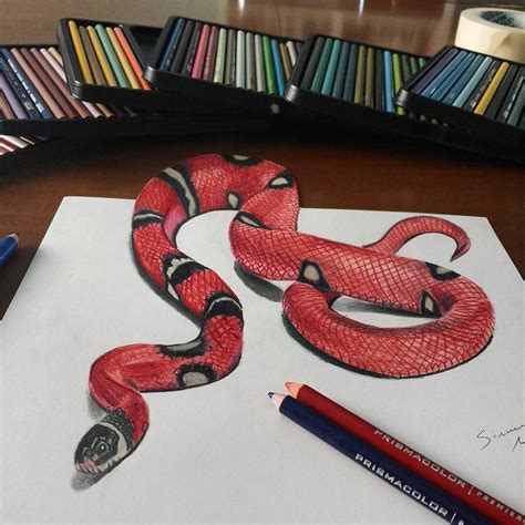Drawing Realistic Snake Snake Drawing