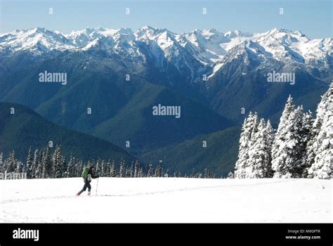 Crosscountry Skiing Visitor Hurricane Ridge Winter Stock Photo Alamy