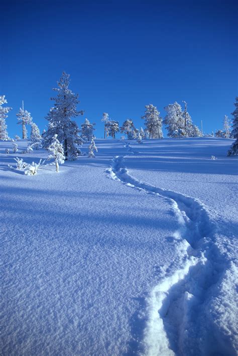 Fileupwards Snow Path