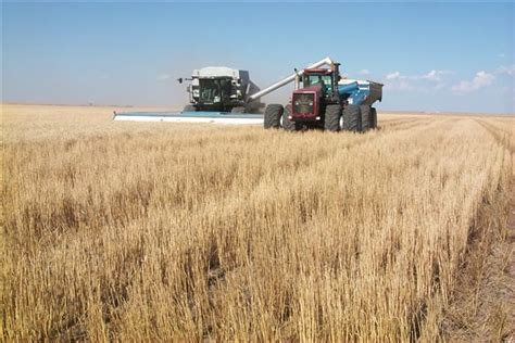 Oklahoma Farm Report Wheat Harvest Arrives In Kansas With 16 Percent