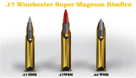 Winchesters New 3000 Fps 17 Win Super Mag Rimfire Daily Bulletin