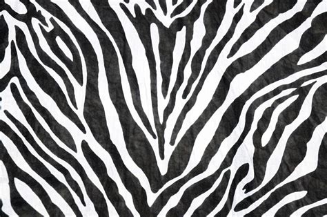 47 Zebra Pattern Wallpaper On Wallpapersafari