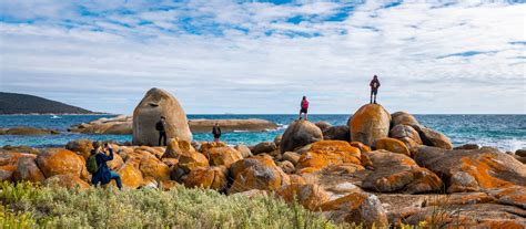 Flinders Island Walk In Comfort Flinders Island Hiking Tours Tasmania