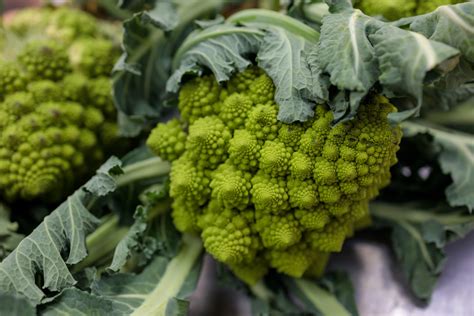 Romanesco Broccoli Photo 8967 Motosha Free Stock Photos