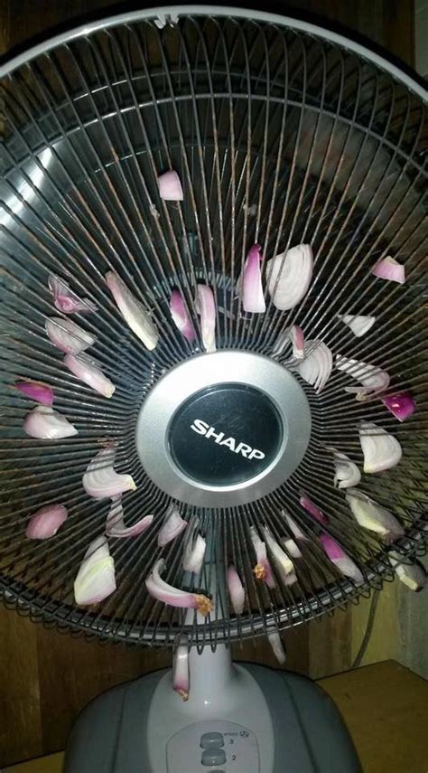 Ada 20 gudang lagu di sudut kamar hatiku terbaru, klik salah satu untuk download lagu mudah dan cepat. Irisan Bawang di Sudut Kamar dan Jaring Kipas Angin, Ampuh ...