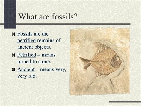 Ppt Fossils Powerpoint Presentation Free Download Id 3983462