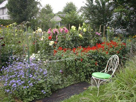 Check spelling or type a new query. LadyBelle Cut Flower Gardens - LocalHarvest