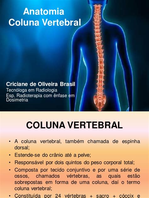 Anatomia Coluna Vertebral Pdf Coluna Vertebral Vértebra
