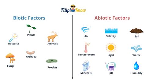 Abiotic Factors In The Environment Filipiknow