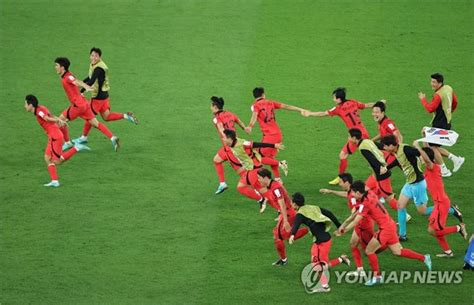 월드컵 16강 대진한국은 브라질 일본은 크로아티아와 대결 나눔경제뉴스