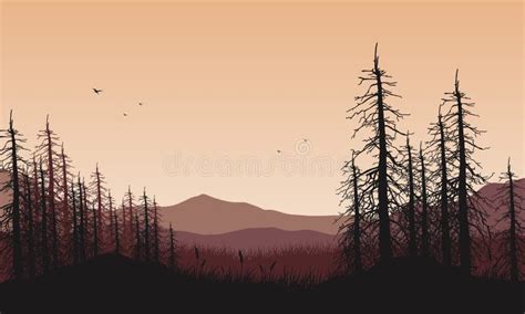 Mountain View With The Realistic Silhouette Of Dry Pine Trees From