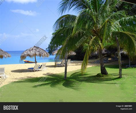 Jamaica Beach Tiki Hut Image And Photo Free Trial Bigstock