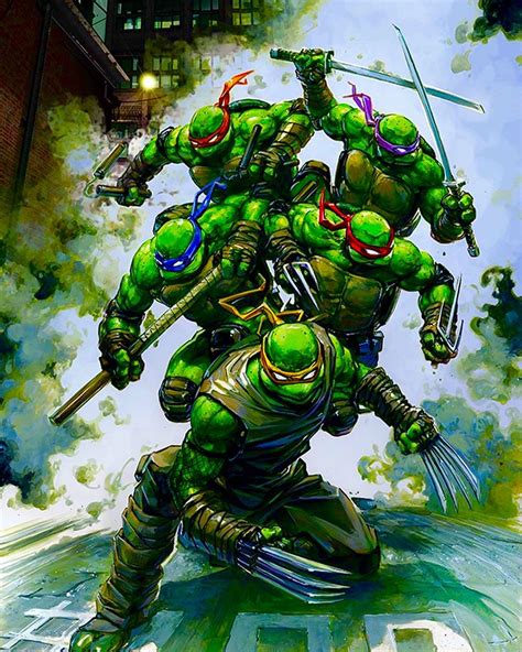 Pin By Nardydude On Dc Universe Teenage Mutant Ninja Turtles Art