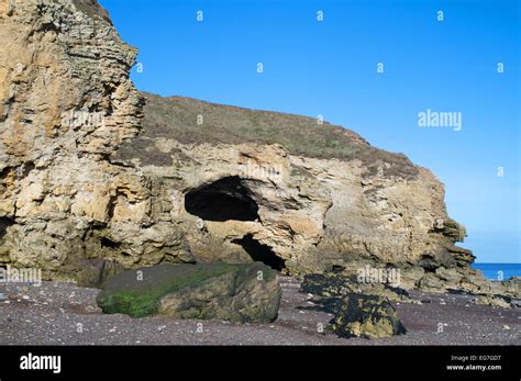 Sea Caves At Blackhall Rocks County Durham Coast England Uk Stock