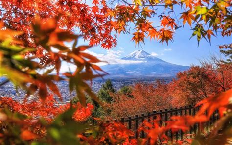 Download Wallpapers Mount Fuji Autumn Volcano Fujisan Mountain