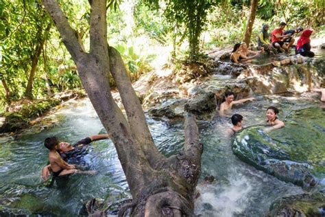 Half Day Jungle Tour To Emerald Pool And Krabi Hot Springs