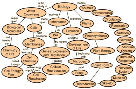 How To Make A Mind Map For Biology Vrogue