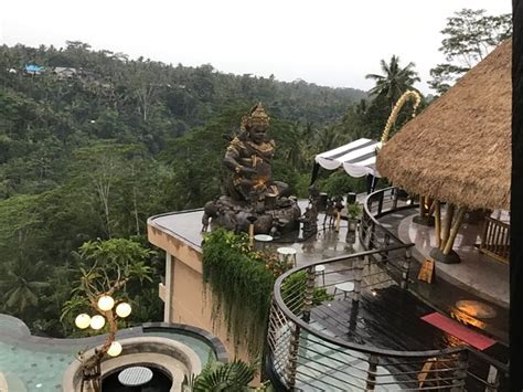 Wanna Jungle Pool And Bar Ubud 2020 All You Need To Know Before You