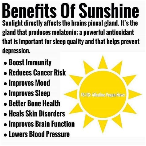 🌞 Sunshine Benefits ️ Make Sure To Soak Up That Sun ️ Go Outside And Get Sunlight Every Day