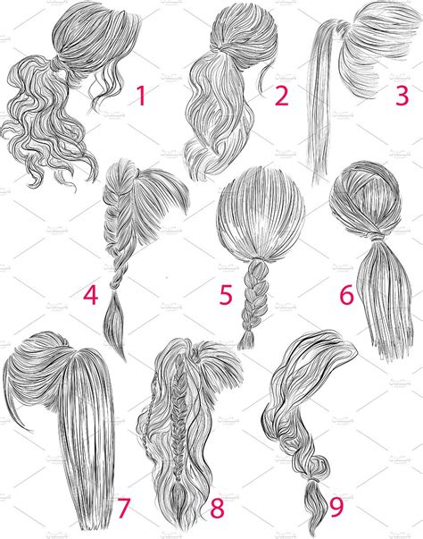 Ponytails Vector Hairstyles Set Drawing Hair Tutorial Ponytail