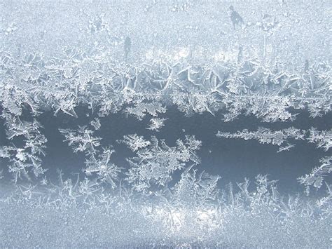 Royalty Free Photo Snow Frosted Glass Close Up Photo Pickpik