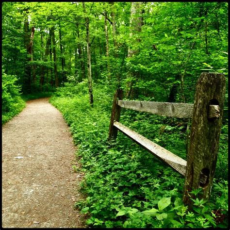 Check spelling or type a new query. Jacobsburg State Park - Belfast, PA - June 2011 | State ...
