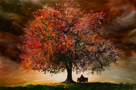 Autumn Tree Hd Wallpaper Background Image 1920x1275 Id769623