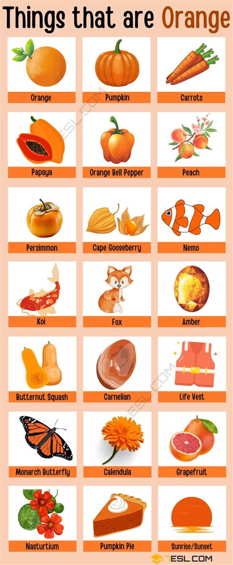 170 Interesting Things That Are Orange You May Not Know • 7esl