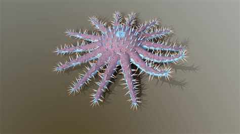 Crown Of Thorns Starfish 3d Model By Biozone 7eb16b0 Sketchfab